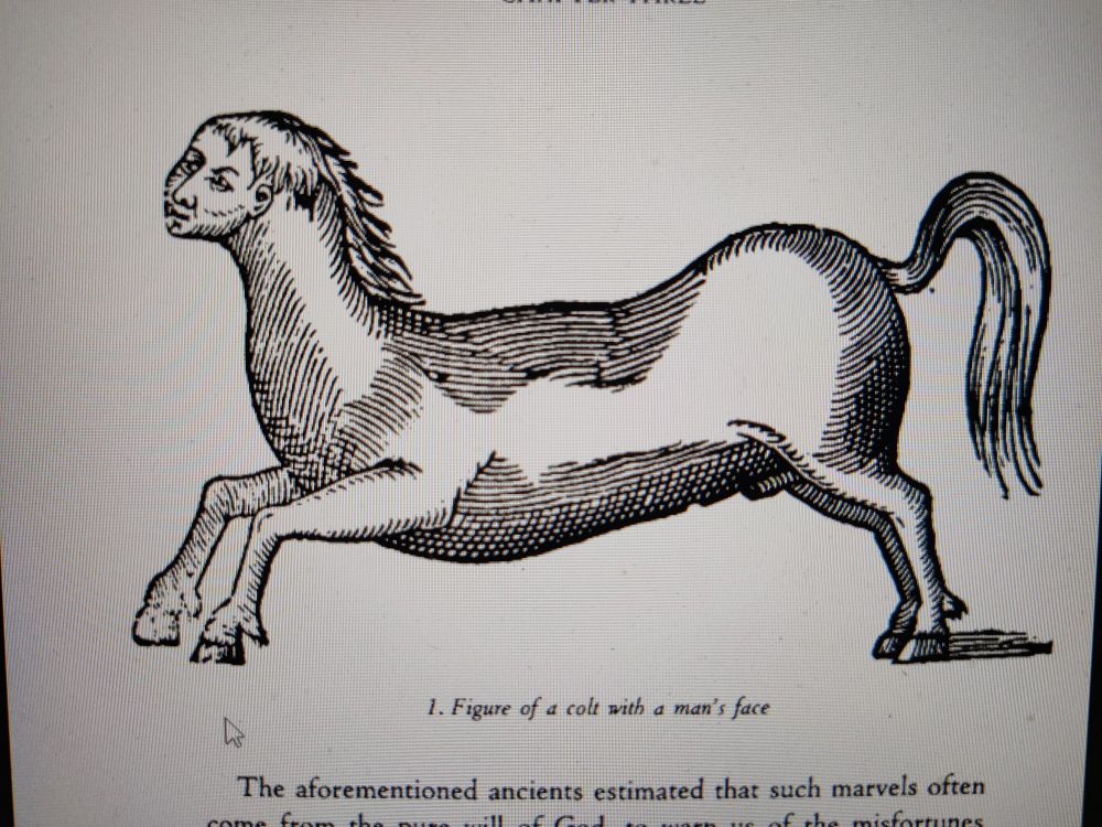A woodcut illustration of 'a colt with a man's face' - it's a long horse whose head ends in a flat human face