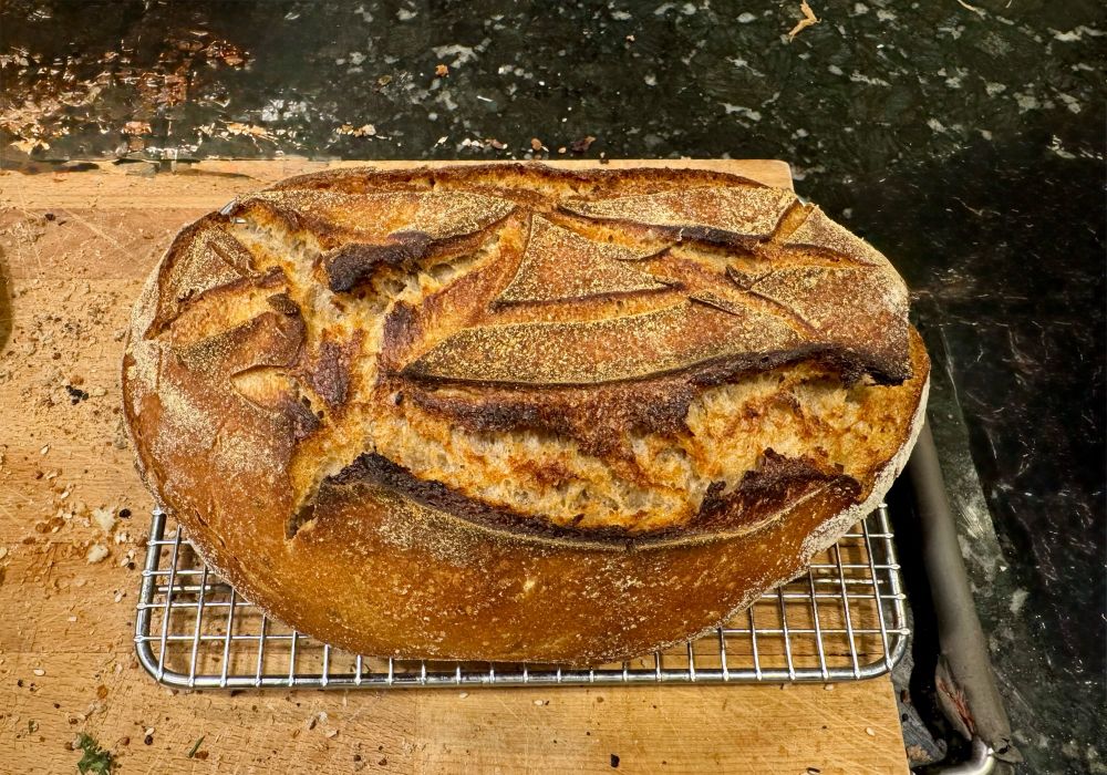 Oval rye loaf on a rack shot from above 🍽️