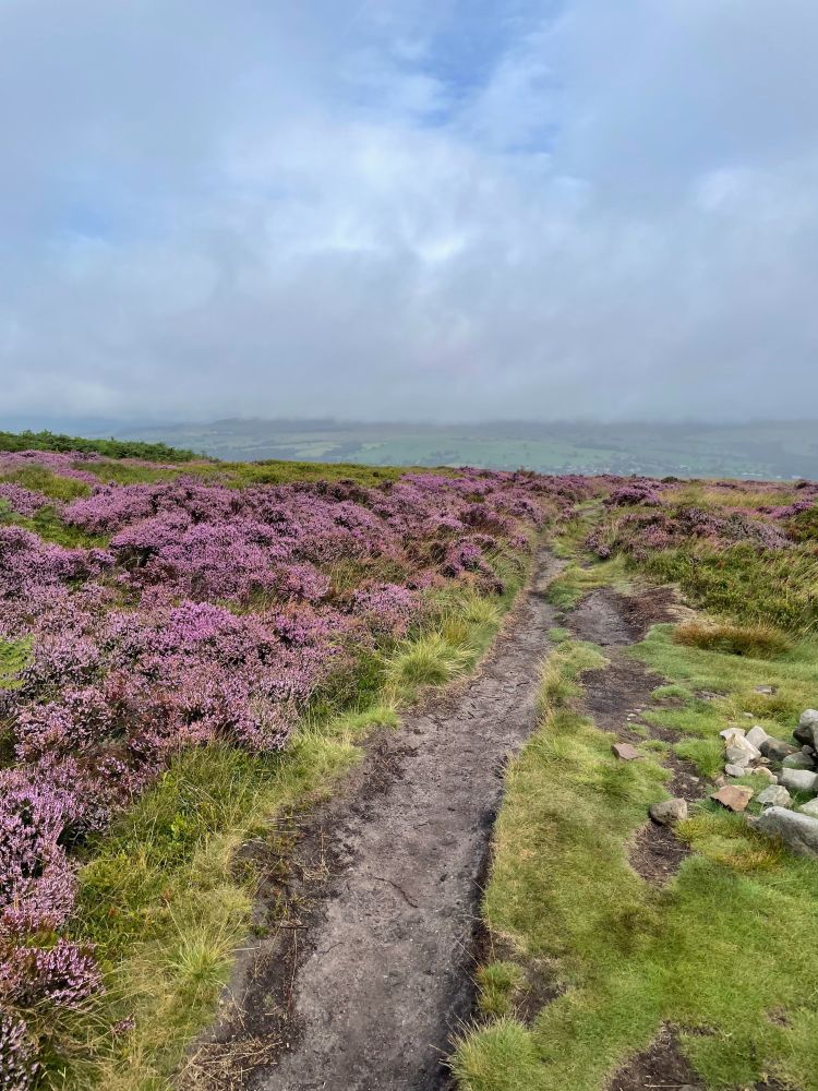 Ilkley Moor
