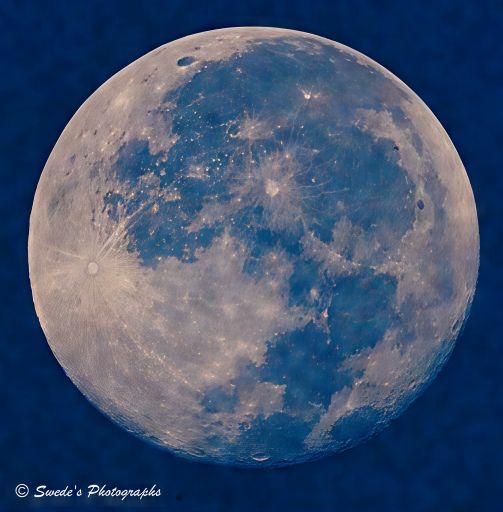 "The photograph captures an almost-full moon suspended in the western sky just after dawn. The moon dominates the frame, glowing with a soft, silvery light against a deep, velvety blue backdrop that hints at the fading night. Its surface is richly textured—etched with craters, ridges, and dark plains known as lunar maria. These maria form sweeping, shadowy patches that contrast with the brighter highlands, giving the moon a mottled, ancient appearance.

Several impact craters radiate brilliant streaks outward like ghostly sunbursts—these are ray systems, remnants of long-ago collisions that left scars visible even from Earth. The clarity of the image reveals the moon’s rugged terrain in striking detail, as if you could reach out and feel its pitted surface. There’s a quiet majesty to the scene: the moon, still lingering in the west, seems reluctant to leave the sky, holding onto the last whispers of night while the world below begins to stir.

In the bottom left corner, the image is signed “Swede’s Photographs,” a subtle nod to the artist behind the lens." - Copilot