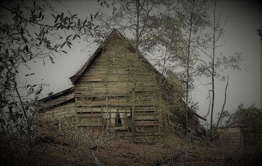 "The image portrays a hauntingly beautiful scene of an old, abandoned house nestled amidst overgrown trees and foliage. Its wooden exterior appears aged and weathered, with signs of neglect and decay hinting at a rich but forgotten past. The roof, steep and somewhat dilapidated, adds to the rustic charm, while the muted tones and overcast sky amplify the eerie, somber atmosphere. Partially hidden by encroaching vegetation, this lonely house seems to whisper stories of history and mystery, evoking a sense of quiet desolation. It's a striking reminder of the passage of time and the beauty in forgotten places." - Copilot