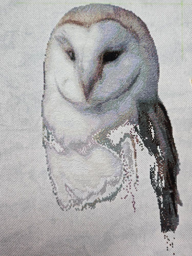 Partially complete cross stitch of an owl.