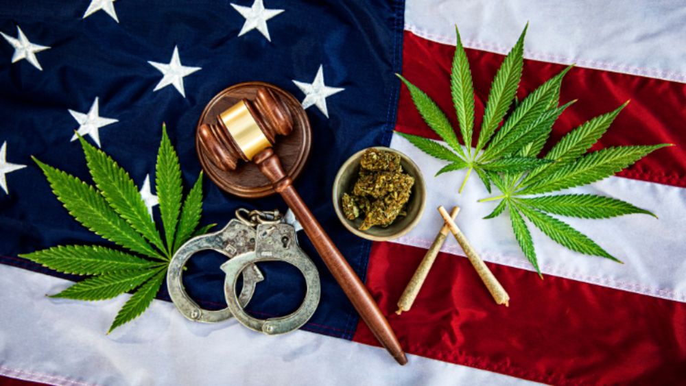 FBI: Nearly One Quarter of All Drug-Related Arrests Are for Marijuana Possession