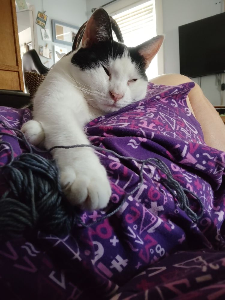 A white cat with black ears is most-alseep in my lap with one paw still controlling the ball of gray yarn. The photo is taken looking up at the cat's face. 