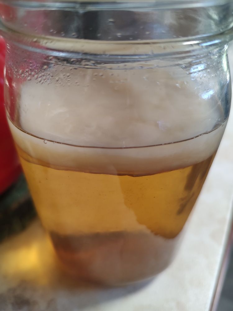A close up of a mason jar with a pale tea liquid and a white biofilm on top. 