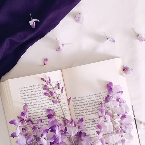 Imagem de um livro aberto sobre um tecido branco e roxo, com flores de pétalas brancas e lilases espalhadas por cima, que encontrei no Pinterest. Não havia créditos do responsável pela foto onde a encontrei.