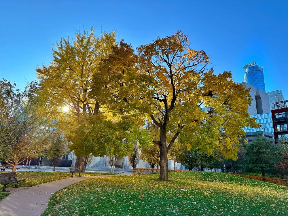 Golden Autumn Day Downttwn