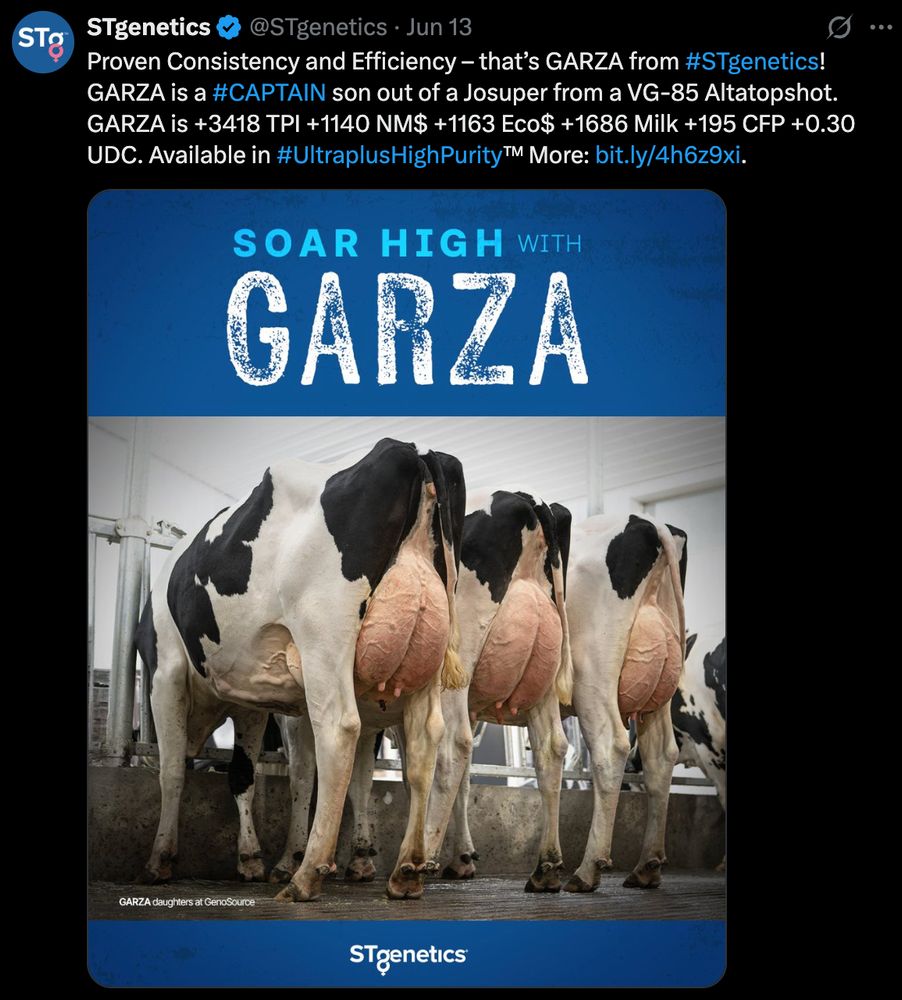 Screenshot of a Post by: [@STgenetics] on X (formerly Twitter)

"Proven Consistency and Efficiency — that’s GARZA from #STgenetics!
GARZA is a #CAPTAIN son out of a Josuper from a VG-85 Altaposhot.
GARZA is +3418 TPI +1140 NM$ +1163 Eco$ +1686 Milk +195 CFP +0.30 UDC.
Available in #UltraplusHighPurity™
More: <bit.ly link>"

Image description:
A row of Holstein dairy cows stands in front of a metal fence in a milking facility. The camera angle focuses on their large, swollen udders from behind. The ground beneath them is grimy. Above the photo is a bold blue banner that reads:
"SOAR HIGH WITH GARZA"
The bottom of the image is branded with the STgenetics logo. Small text in the lower left notes: “GARZA daughters at GenoSource.”