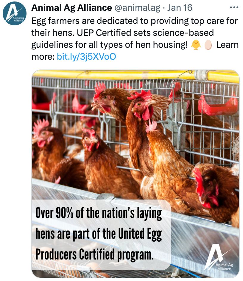 This is a screenshot of a post from X by Animal Ag Alliance. The text at the top reads:

"Egg farmers are dedicated to providing top care for their hens. UEP Certified sets science-based guidelines for all types of hen housing! Learn more: [Link]"

The image in the post shows chickens in a caged environment, with an overlay text stating:
"Over 90% of the nation’s laying hens are part of the United Egg Producers Certified program."

The Animal Ag Alliance logo is displayed in the bottom-right corner of the image.