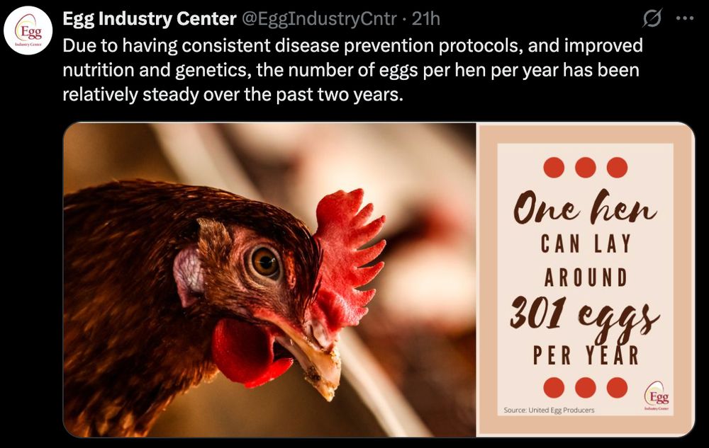 Screenshot of a Post by: [@EggIndustryCntr] on X (formerly Twitter)

Due to having consistent disease prevention protocols, and improved nutrition and genetics, the number of eggs per hen per year has been relatively steady over the past two years.

Image description:
A split graphic. On the left, a close-up photo of a brown hen with red comb and wattles, its eye in sharp focus. On the right, a peach and cream colored infographic with red dots that reads:
"One hen can lay around 301 eggs per year"
At the bottom is a small logo for the Egg Industry Center and a note: Source: United Egg Producers.