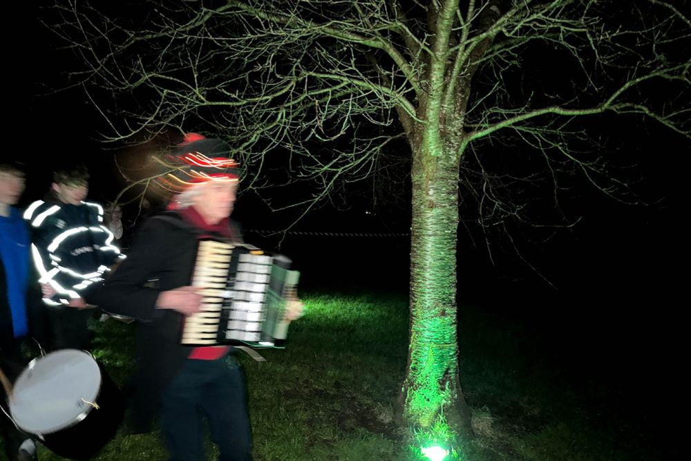 The wassailers form a long procession after dark, many of them dressed in green, with painted faces, or adorned with fairy lights. In this photo, the procession is led by a man who dances with an accordion around an apple tree, while others beat drums behind him.