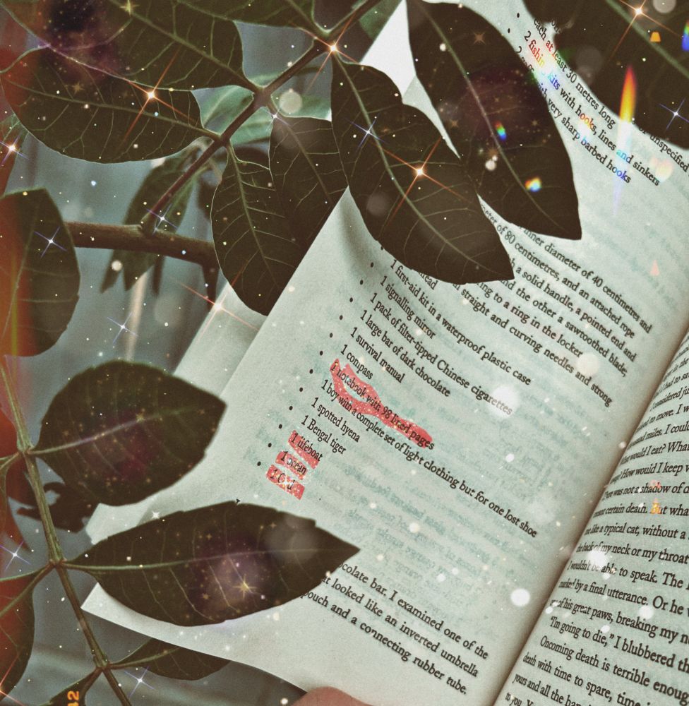 A photo of a page from the book Life Of Pi with leaves over some of the words, Some sentences are highlighted in pink, there are sparkles on the screen, so the words are blurry. 