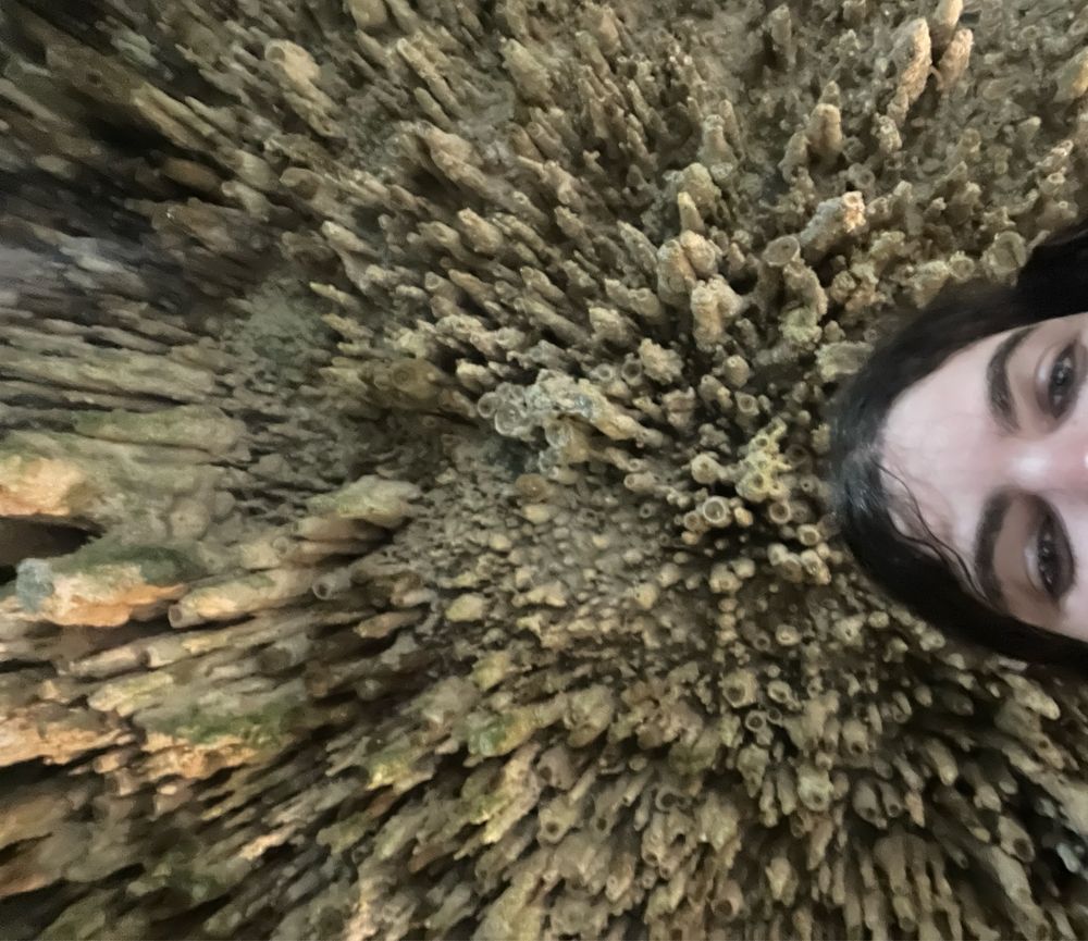 Upward photo of the top of my head infront of stalactites