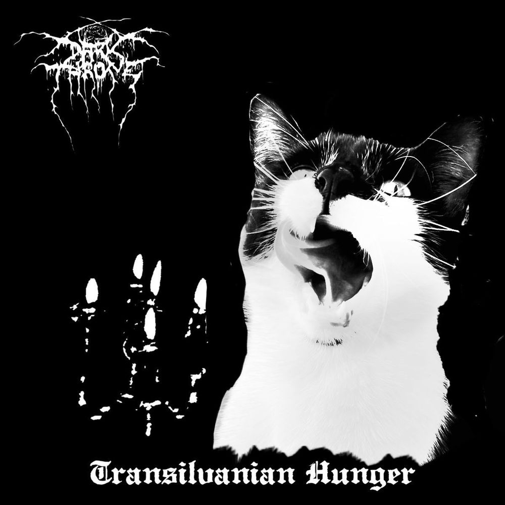 Darkthrone - Transylvanian Hunger, cat edition