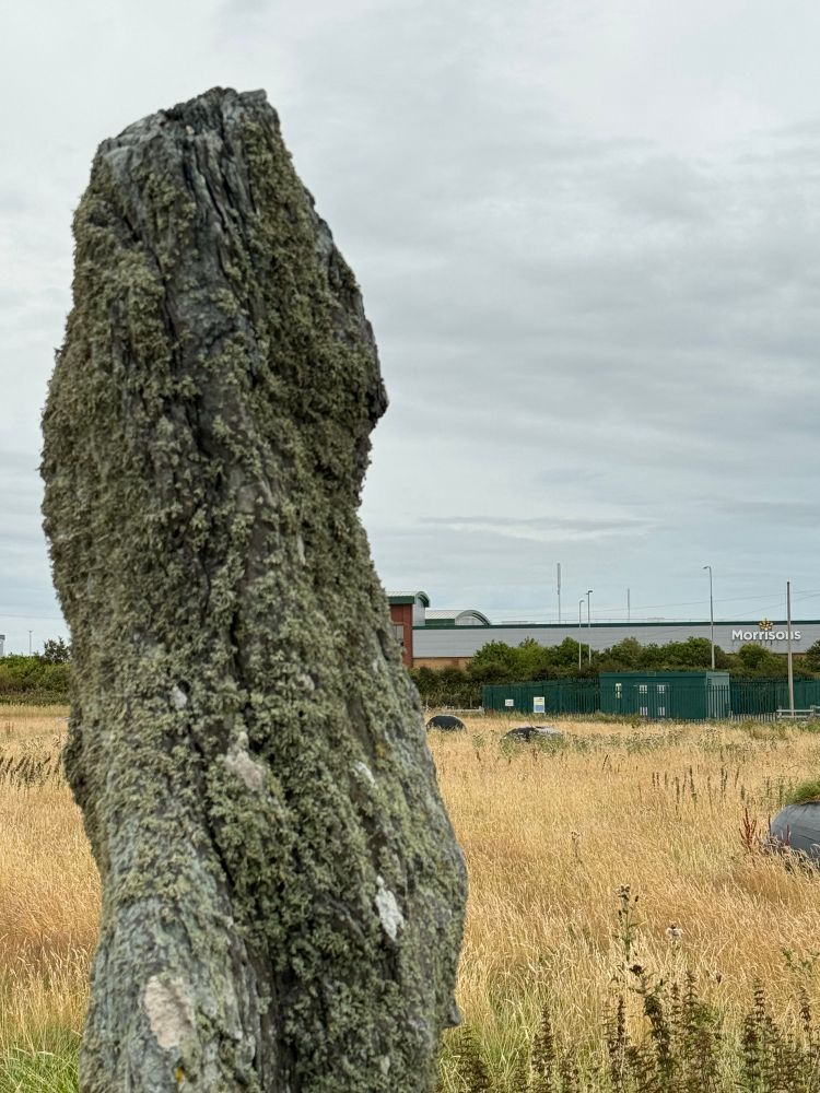 Tŷ Mawr Standing Stone in front of a Morrisons