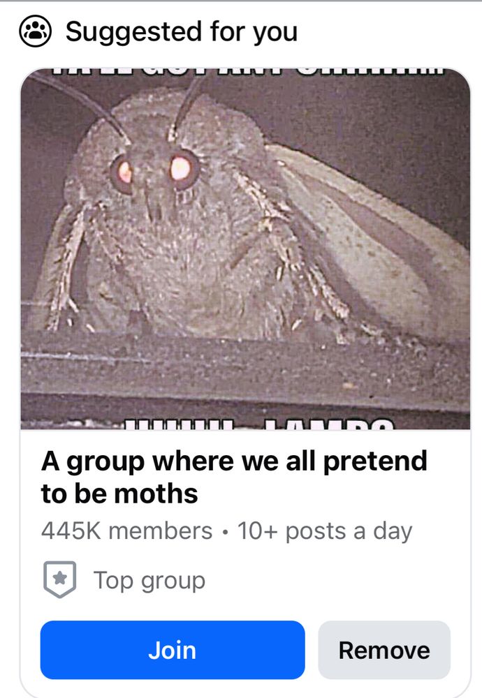 Suggested Facebook group - “a group where we all pretend to be moths”