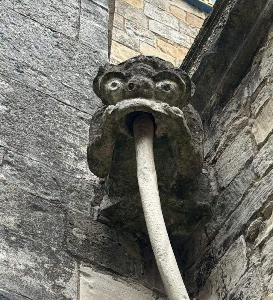 Gargoyle water spout 
