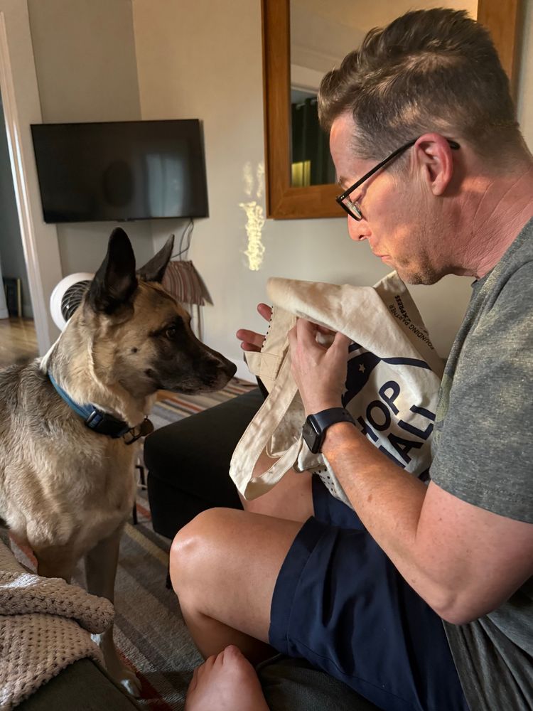 A German Shepherd mix dog with tawny furry and black ears and muzzle staring intently into a tote my husband is holding open for her.