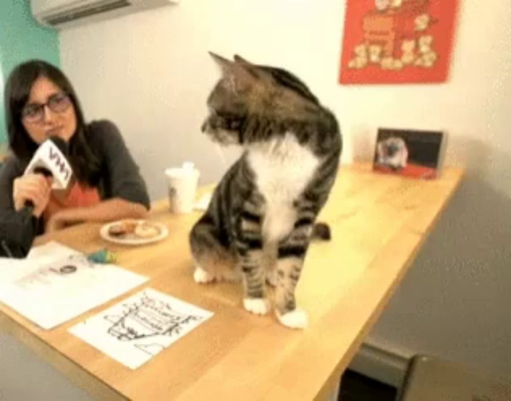 a woman is holding a microphone and talking to a cat on a table