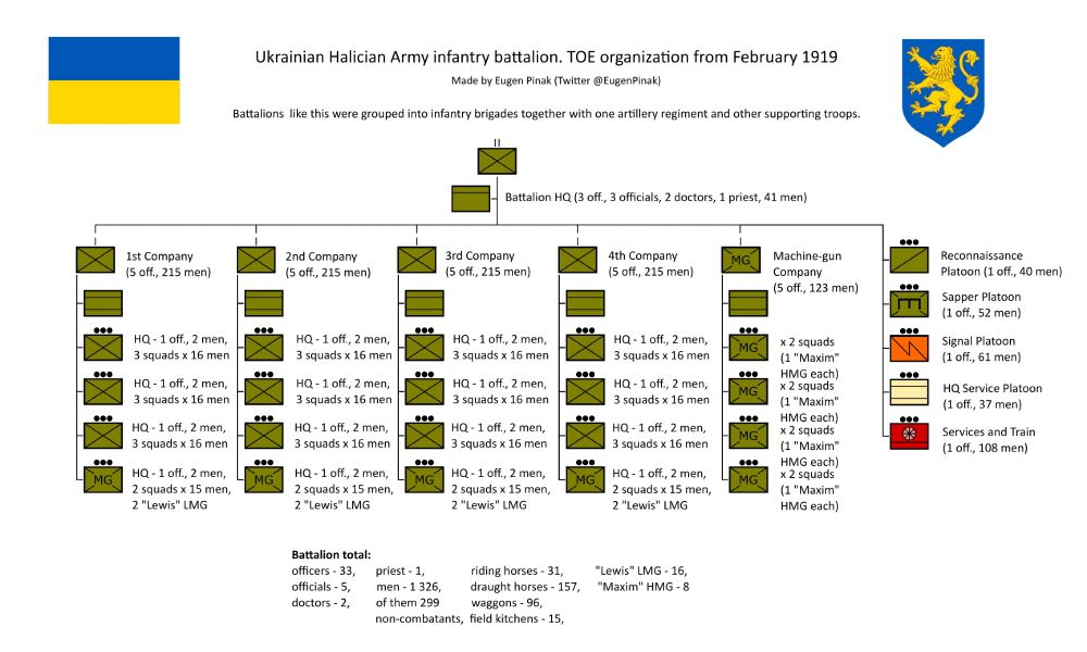 Corrected version of First Ukrainian TOE, introduced in February 1919 for the infantry battalion of the Ukrainian Halician Army (Western Ukraine)