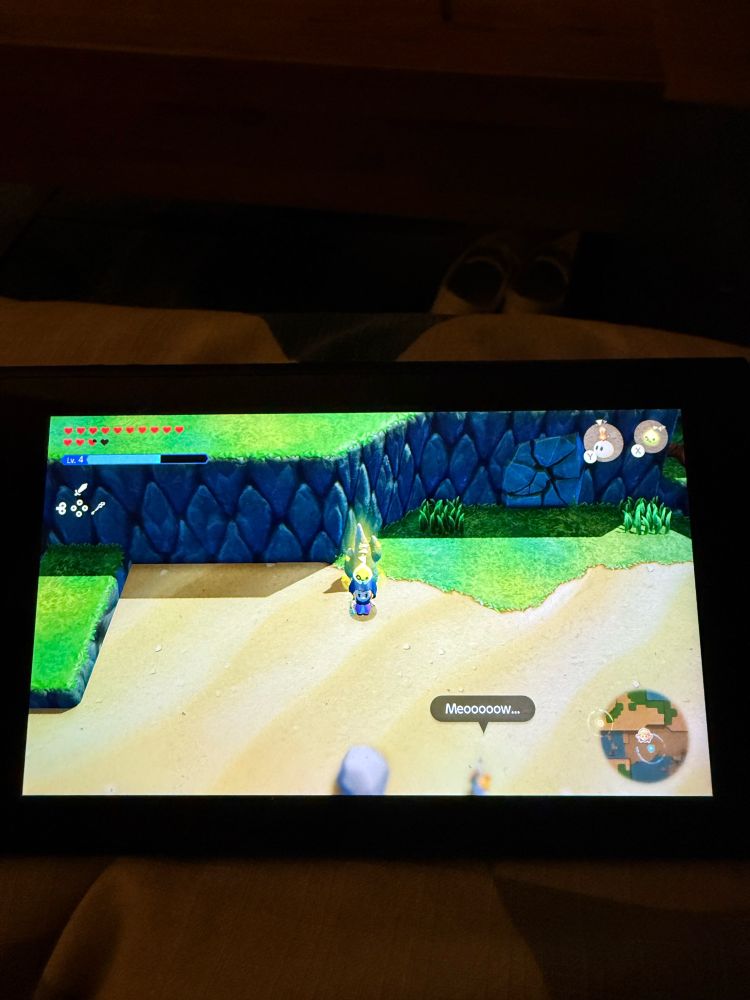 Zelda echoes of wisdom