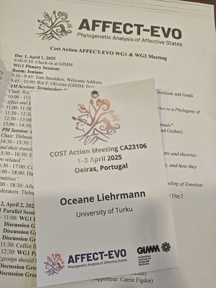 Picture of my name tag for the meeting 