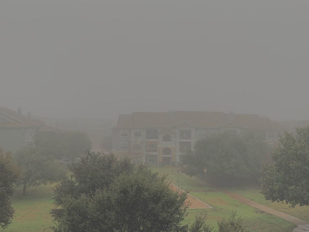 Very foggy day in Texas