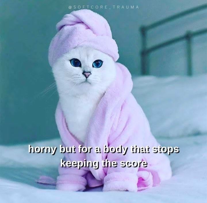 A white blue-eyed cat in a pale pink dressing gown and matching head wrap. The cat sits on a bed staring into the middle distance over text that reads "horny but for a body that stops keeping the score".