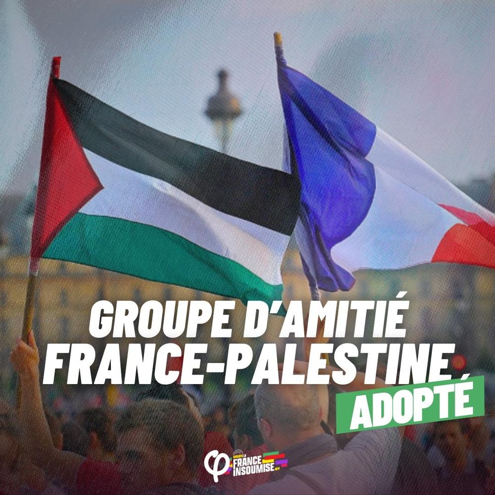 Visuel montrant un drapeau Français et un drapeau Palestinien. Il est noté "groupe d'amitié France-Palestine adopté.