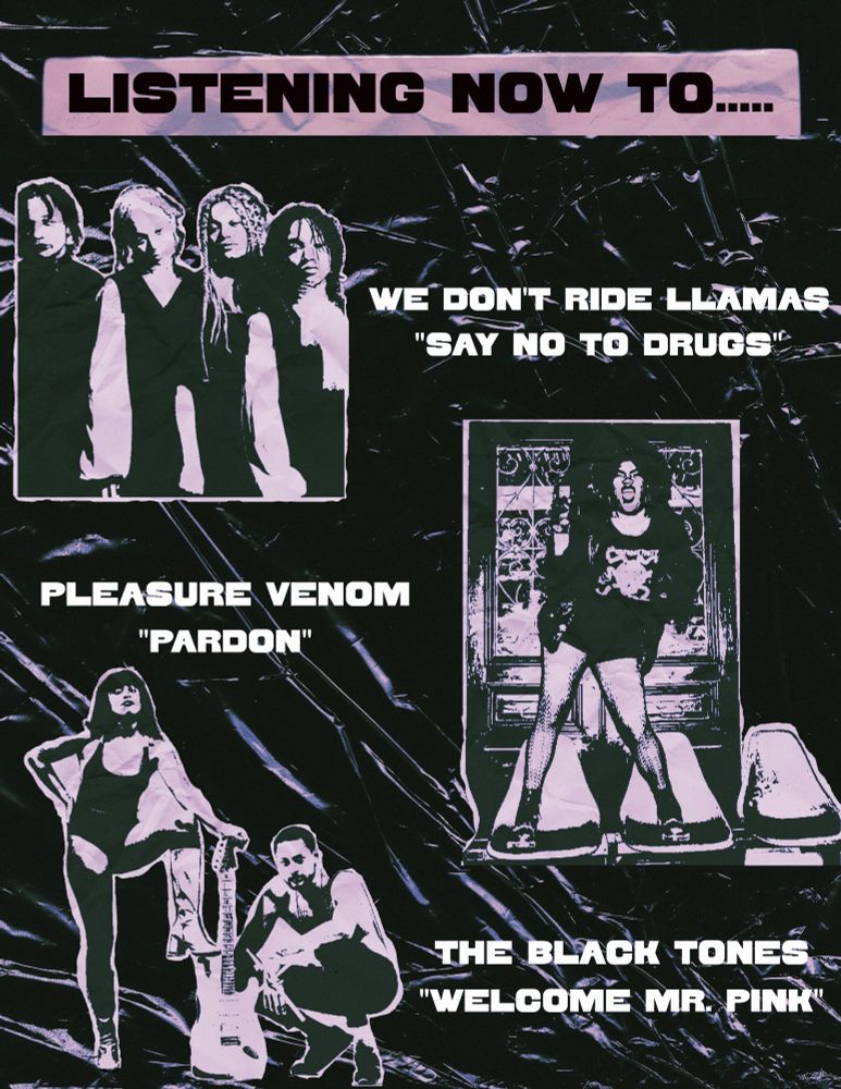 A black background with white and almost gray images of Black bands and Black lead singers I listen to. It says “Listening now to; We Don’t Ride Llamas “Say No To Drugs”, Pleasure Venom “Pardon” and The Black Tones “Welcome Mr.Pink”