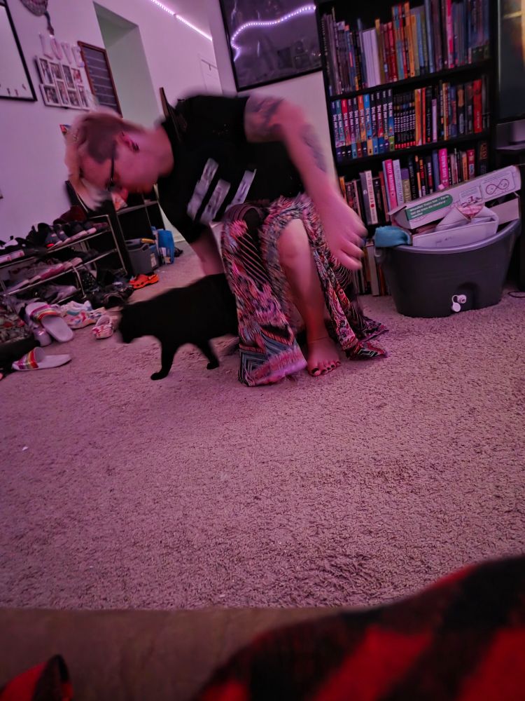 A person with blonde hair with a skirt attempting to sit on a black cat. Only teasingly, no animals actually harmed, except Grey's pride.