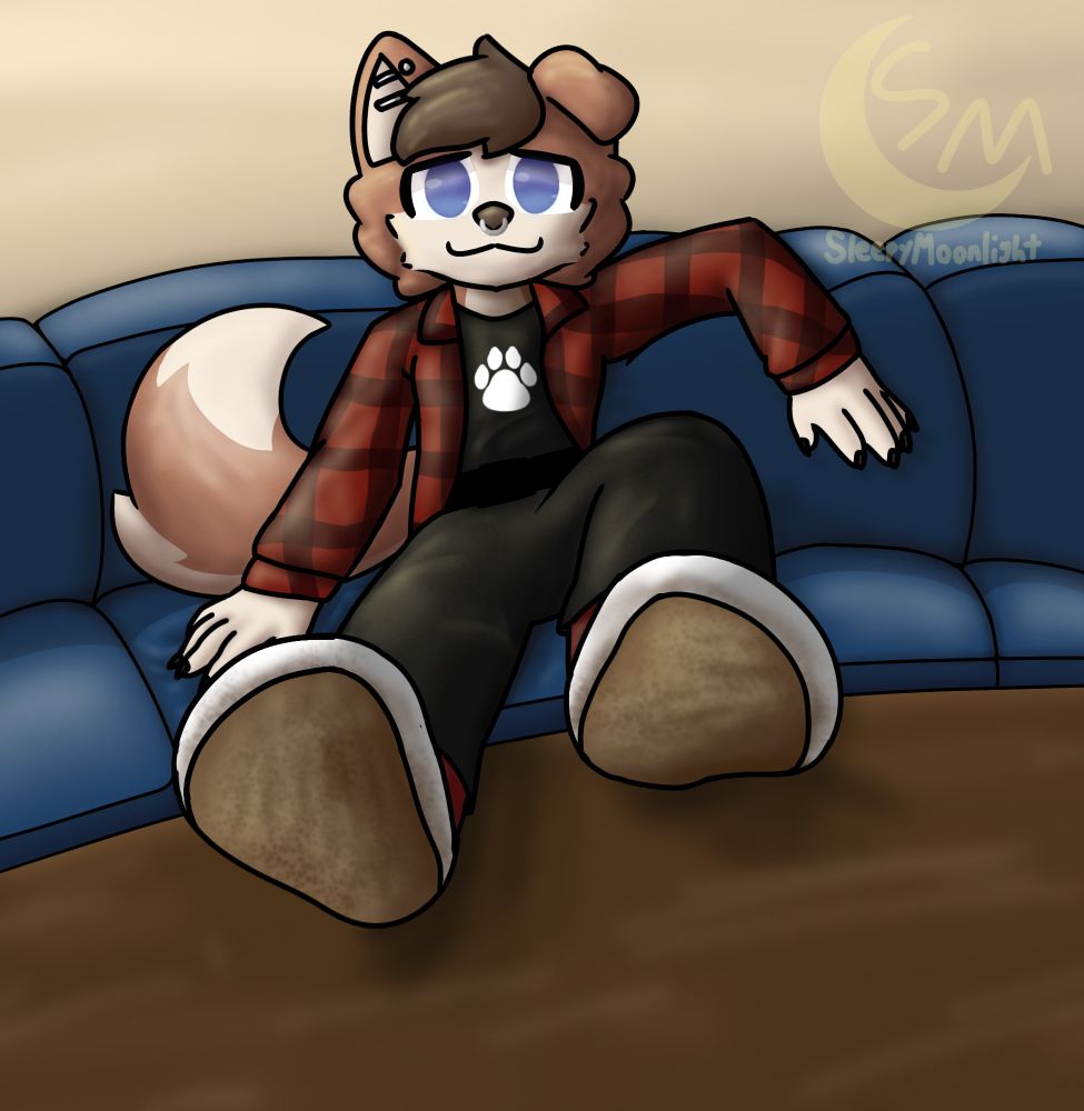 "Go on, take them off then. It was your idea anyway..."
A border collie shyly letting you undress his paws [1/3]