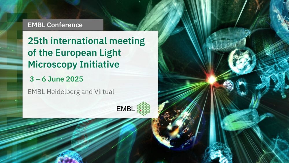 @events.embl.org 
@eurobioimaging.bsky.social
@globalbioimaging.bsky.social
@bioimagingna.bsky.social
@france-bioimaging.bsky.social
@bioimaginguk.bsky.social
@gerbi-gmb.de
@africanbioimaging.bsky.social
@latambioimaging.bsky.social
@remoabioimaging.bsky.social
