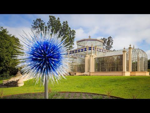 Chihuly in the Botanic Garden | Adelaide, Australia