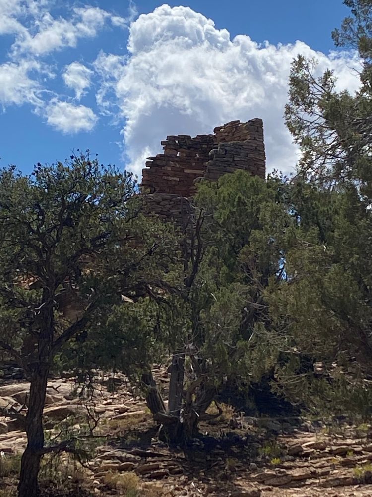 Standing ruins surrounded by trees
photo by Dede Bell