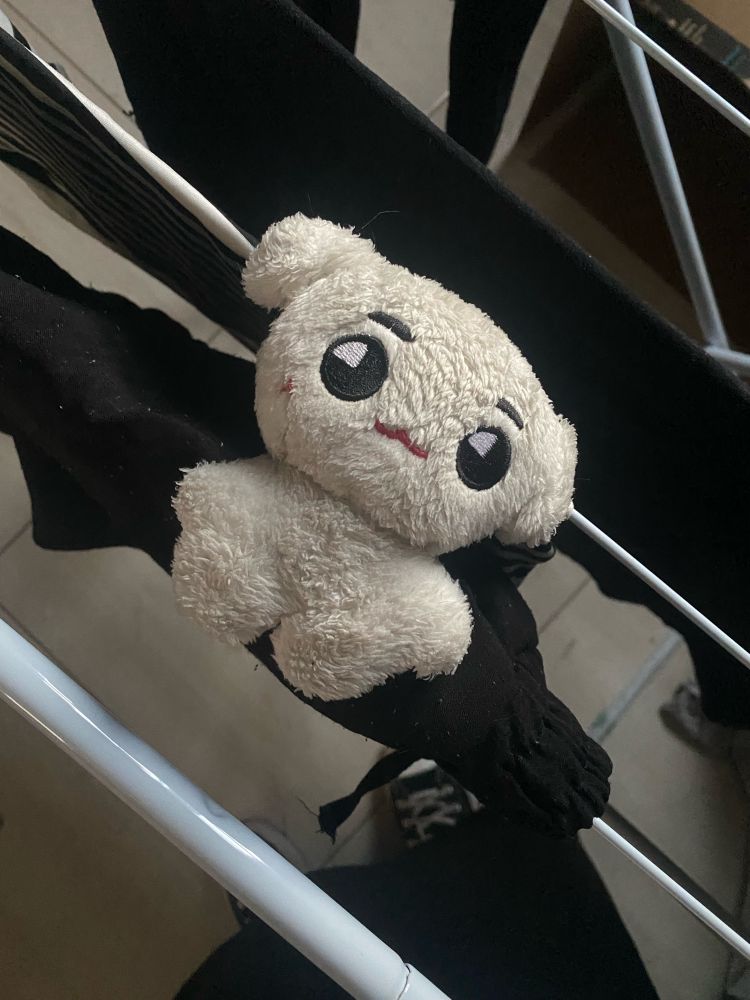 bichinho de pelúcia do tyong secando em um varal com cara de triste