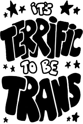 The text "it's terrific to be trans" with stars dotted around it
