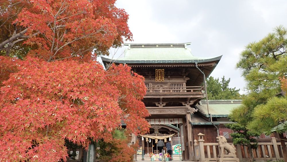 山口県下関市「彦島八幡宮」の神門と紅葉。2024年11月。