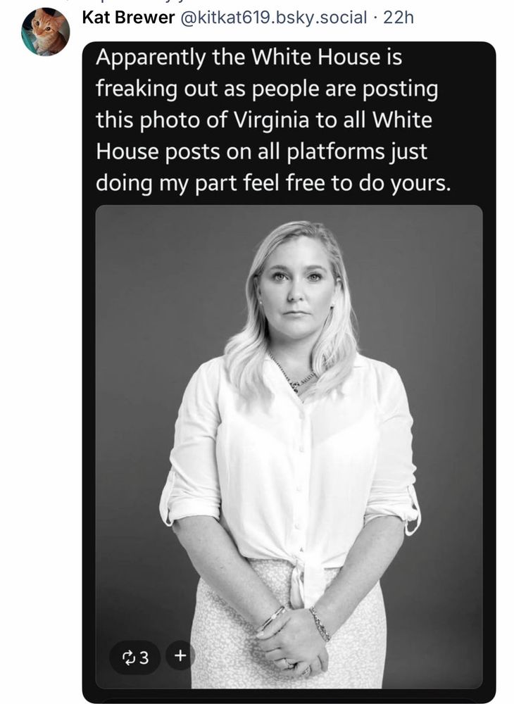 Apparently the White House is freaking out as people are posting this photo of Virginia to all White House posts on all platforms just doing my part feel free to do yours.
An image of one of the victims of child sex predators Epstein, Dershowitz, “King”Chucky’s brother TrumptopianHellscape 