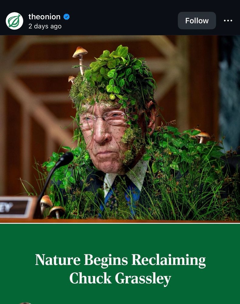 theonion
2 days ago
Follow
Nature Begins Reclaiming
Chuck Grassleycivered in moss and fungi 