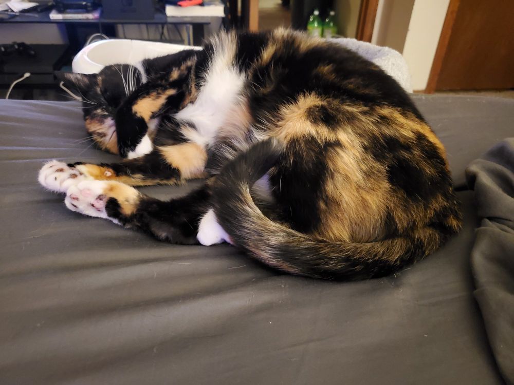 A calico cat asleep on a bed. She has one of her front legs over her face