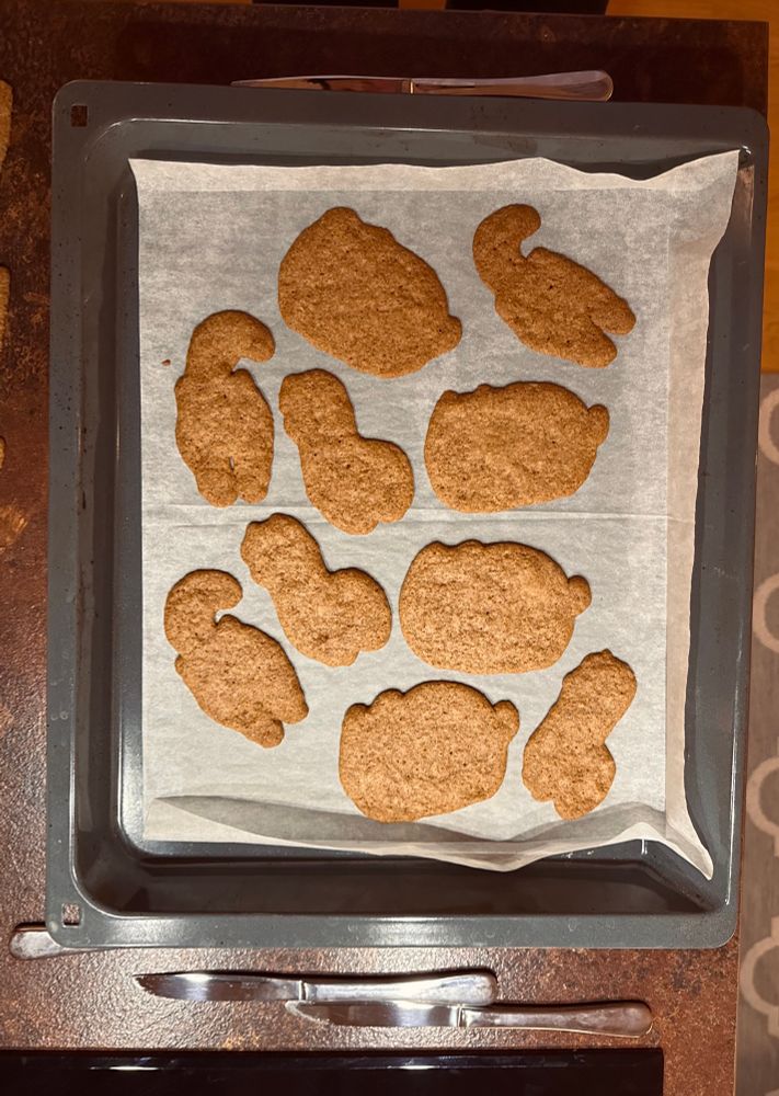 Baked gingerbread cookies all in swollen undefined shapes 