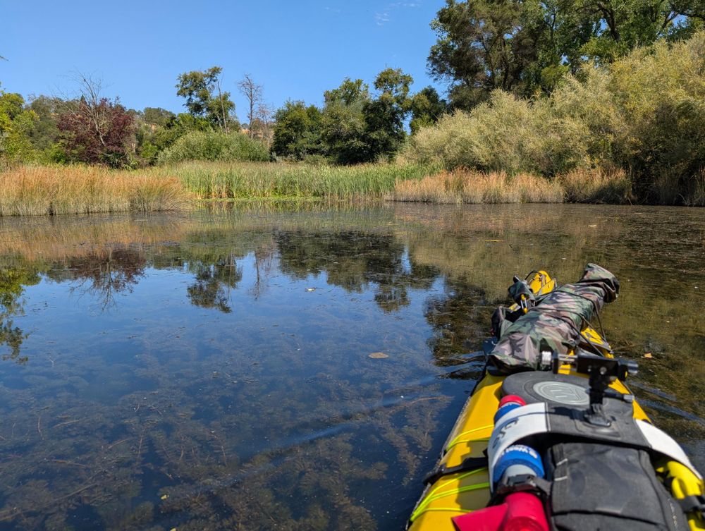 My kayak going through shallow water full of underwater plants