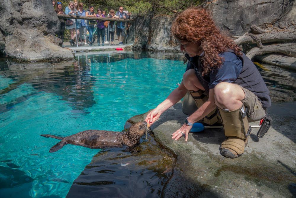 Amy Hash from the Oregon Zoo joins Elakha Alliance Board - Elakha Alliance