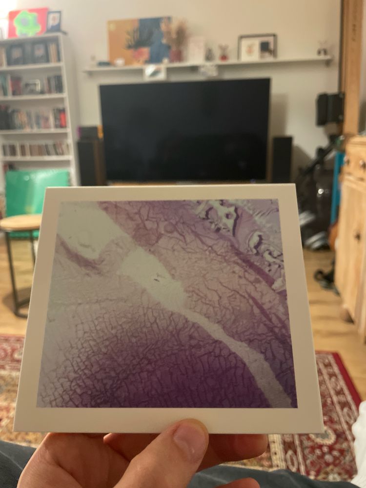 The CD cover of the album ‘Onde Sinusoidale et bande magnétique” by Tape Loop orchestra, held in my hand with stereo speakers and TV in the background 