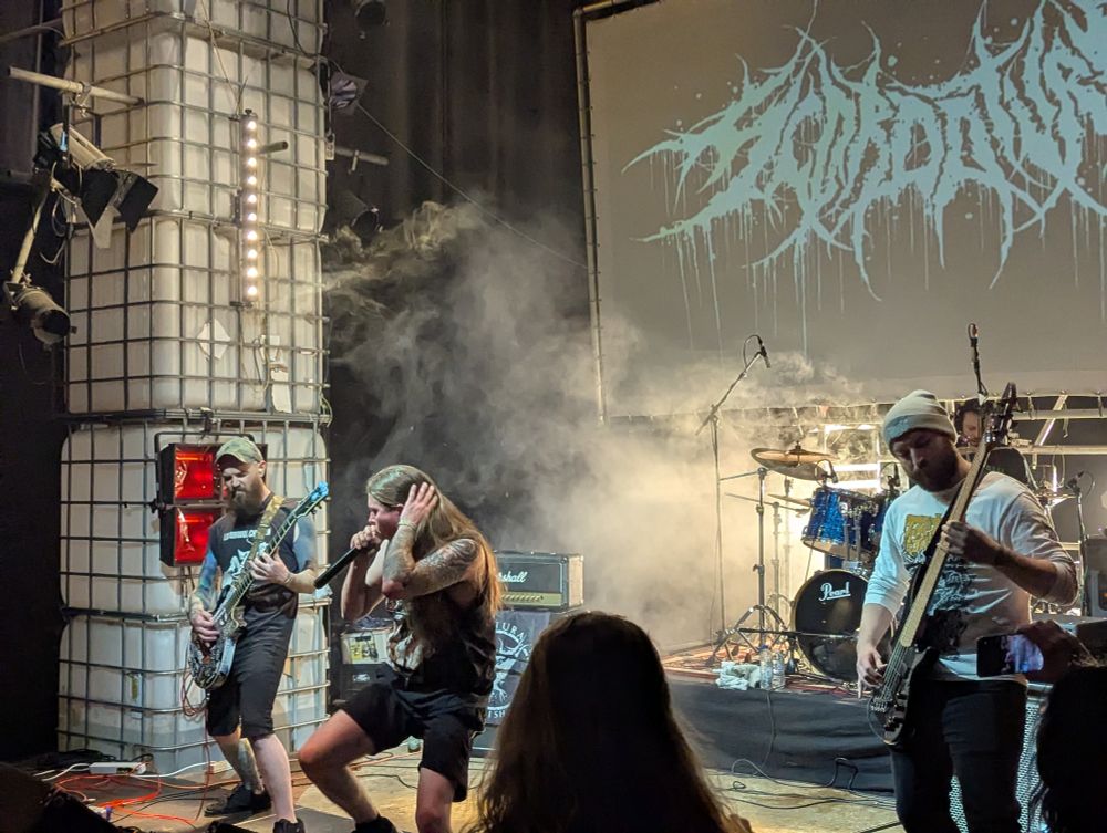 Scordatura playing their set.