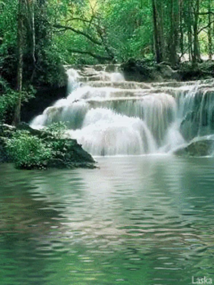 a waterfall in the middle of a forest with the word laska on the bottom