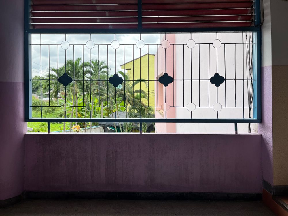 Looking out of a window onto a garden space