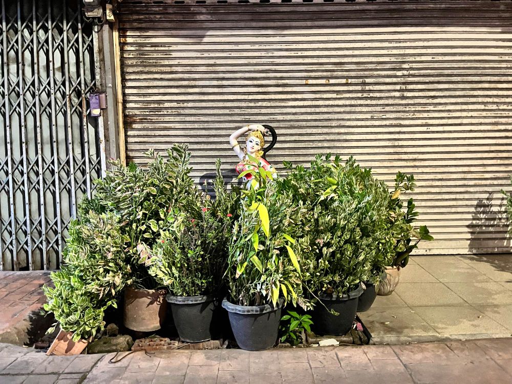 An arrangement of potted plants and a sculpture on the street at night