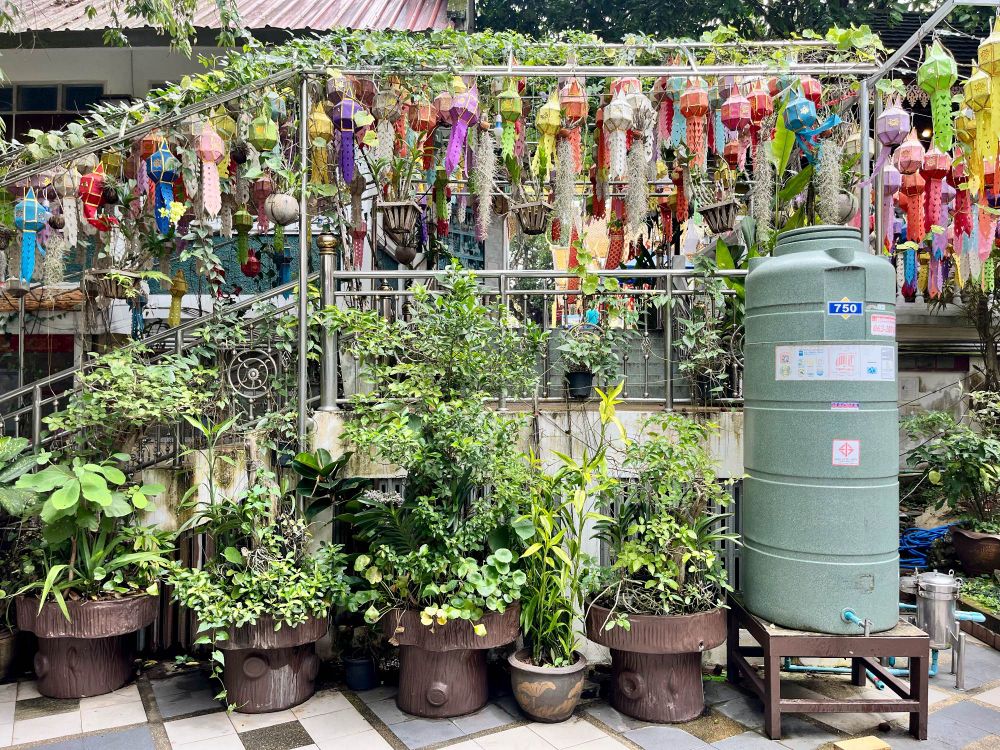 A garden of many potted plants at a temple 
